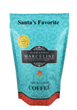 Santa's Favorite